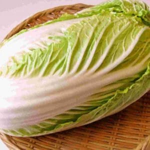 AKUSAY X PLANTA-AGROECOLOGÍCO