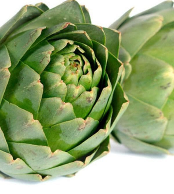 ALCAUCIL X UNIDAD-