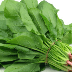 ESPINACA X ATADO-AGROECOLOGÍCO