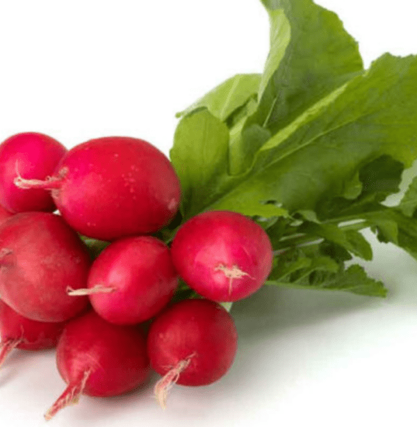 RABANITO AGROECOLÓGICO X ATADO