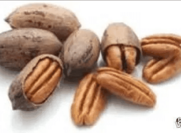 NUECES PECANAS ENTERAS CON CÁSCARA  X KILO