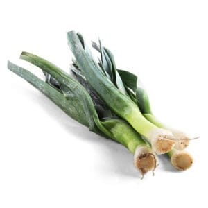 PUERRO AGROECOLÓGICO X ATADO