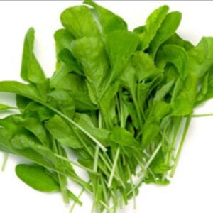 RUCULA X ATADO -AGROECOLOGÍCA-