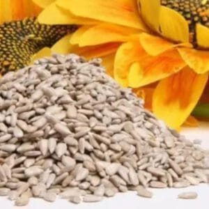 SEMILLLAS DE GIRASOL X 200gr.-AGROECÓLOGICAS-