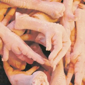 GARRAS LAS CAMELIAS X 500GR CONGELADAS
