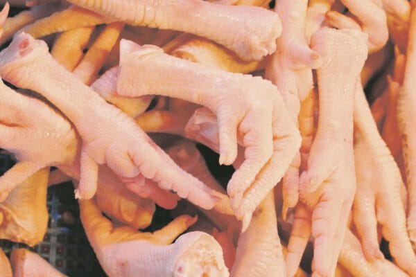 GARRAS LAS CAMELIAS X 500GR CONGELADAS