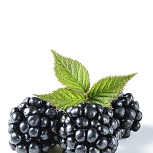 MORA X 150GR. CONGELADA