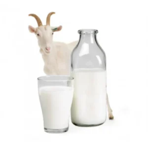 LECHE DE CABRA X 500ML- CHAMPS ELYSES-