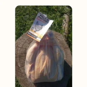 POLLO DE PASTOREO ENTERO PESO APROX  2,300 A 2,500KG-AGROECOLÓGICO- REVERDESER- FRESCO