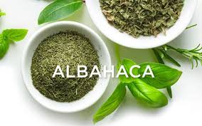 ALBAHACA X 30GR-LA AMISTAD BIO