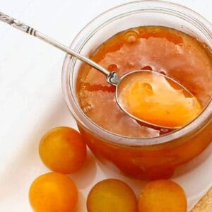 DULCE DE CIRUELA AMARILLA X 450GR.-NOVA-