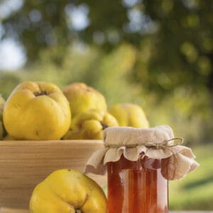 DULCE DE MEMBRILLO X 450GR.-NOVA-